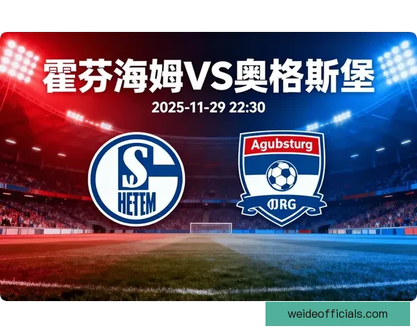 霍芬海姆足球俱乐部的发展历程与未来战略分析研究